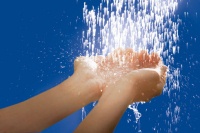 Bild: Grohe