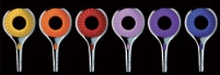 Rainshower Rainbow Collection: Foto: Grohe
