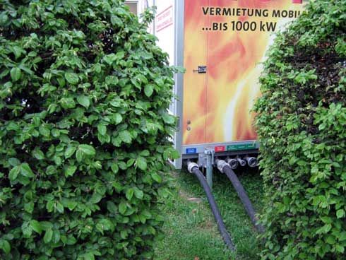 Unauffällig durch das Gebüsch verlaufen die flexiblen...