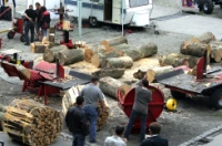 Für Holzheizungen, Kaminöfen und andere kleine Feuerungsanlagen für feste Brennstoffe sollen in Zukunft strengere Umweltauflagen gelten.