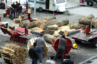 Besonders das Heizen mit Holz erfreut sich wachsender Beliebtheit: 46 Prozent der Hauseigentümer, die in den letzten fünf Jahren saniert haben, setzen auf diesen traditionellen Energieträger. 