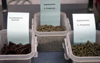 Der Geltungsbereich der 1. BImschV  muss auch für Biomassepellets.......