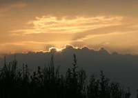 In Deutschland nutzen mehr als sechs Millionen Menschen die Kraft der Sonne und nehmen damit Ihre Strom- oder Wärmeversorgung selbst in die Hand. 