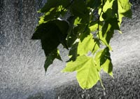 Zum Schutz der Wasserressourcen muss die Staatengemeinschaft.......