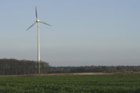 Mit den geplanten Ausschreibungen sollen die Erneuerbaren insgesamt gedeckelt und die Windkraft an Land hart ausgebremst werden. 