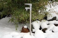 ARCTIC GARDEN