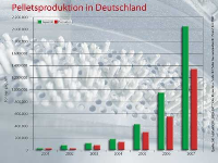 Ein Blick auf die Pelletsproduktion in Deutschalnd. Quelle: Solar Promotion GmbH