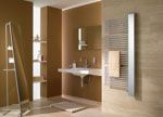 aus der Edition Metallic : Credo-Half in der Farbe.......