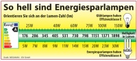 Lesebeispiel: Eine 11 Watt Energiesparlampe muss mindestens 531 Lumen haben, das entspräche einer Glühlampe mit ca. 50 Watt. – Eine 60 Watt Glühlampe hat ca. 700 Lumen, diesen Wert sollte auch die Energiesparlampe mindestens haben. Grafik: MEGAMAN