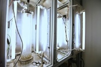 Prüfstand zur Untersuchung der Wirkfähigkeit von Mineralöl-Additiven.......