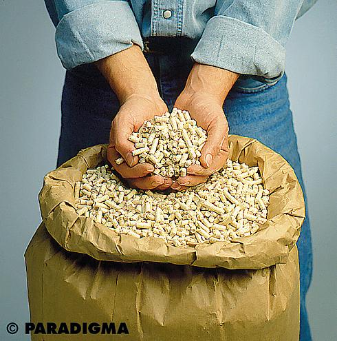 HolzPellets – der ökologisch »gesunde« Heizstoff der...