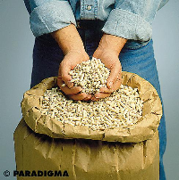 HolzPellets – der ökologisch »gesunde« Heizstoff der Zukunft