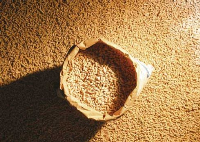 Umweltfreundlich und kostengünstig heizen mit Holzpellets