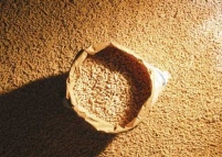 Umweltfreundlich und kostengünstig heizen mit Holzpellet.......
