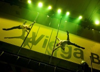 Setzen die Erdanziehung bei der Viega Roadshow außer Kraft: die Artisten von Vertical Pole.