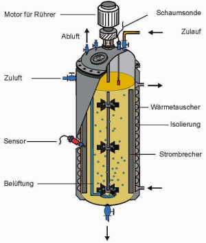 Bioreaktor (Fermenter)