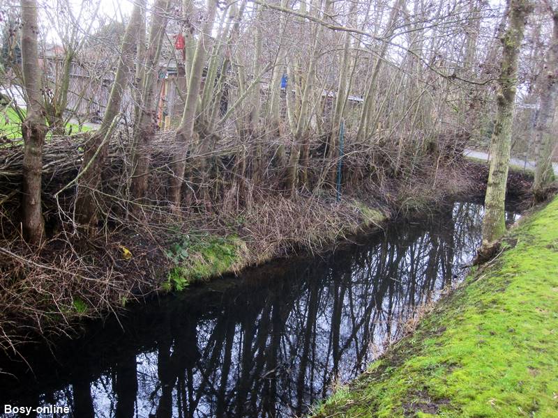 mitwachsende Totholzhecke