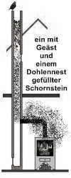 Dohlen lieben Schornsteine